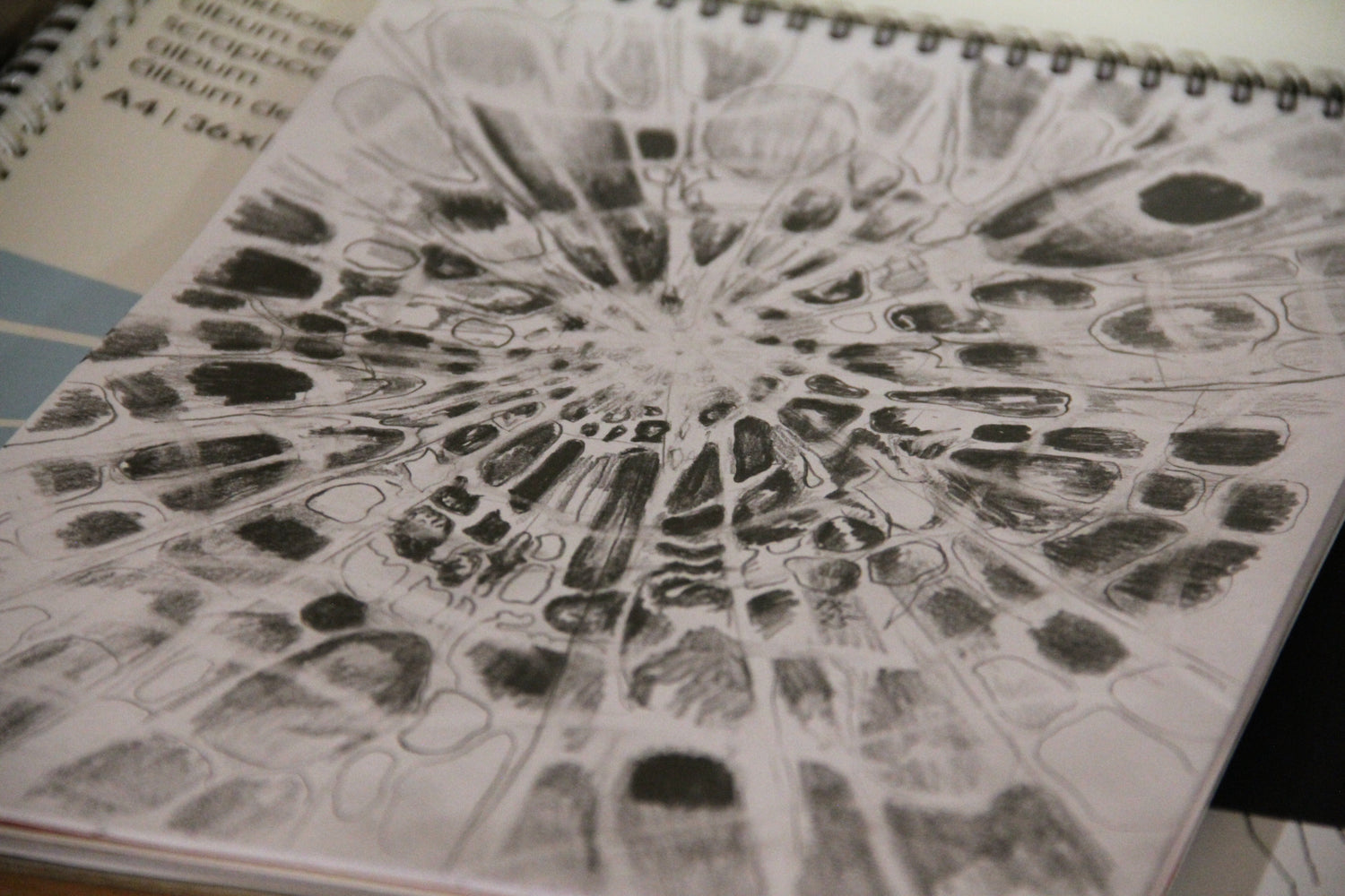 Drawings