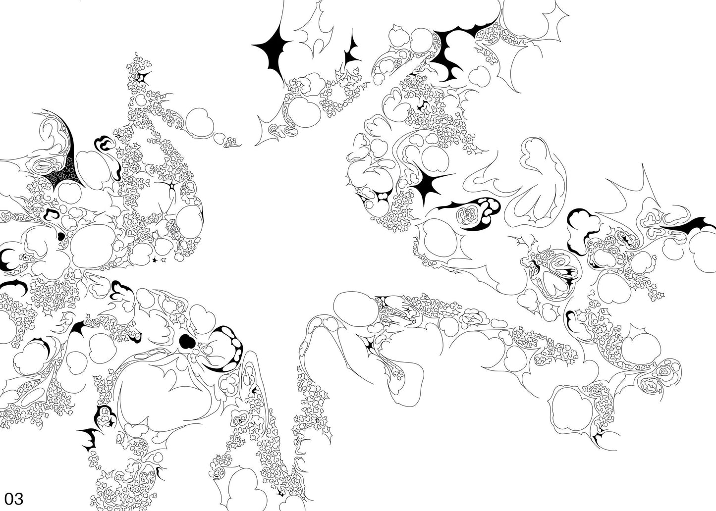 Inversion of a Star, 2024