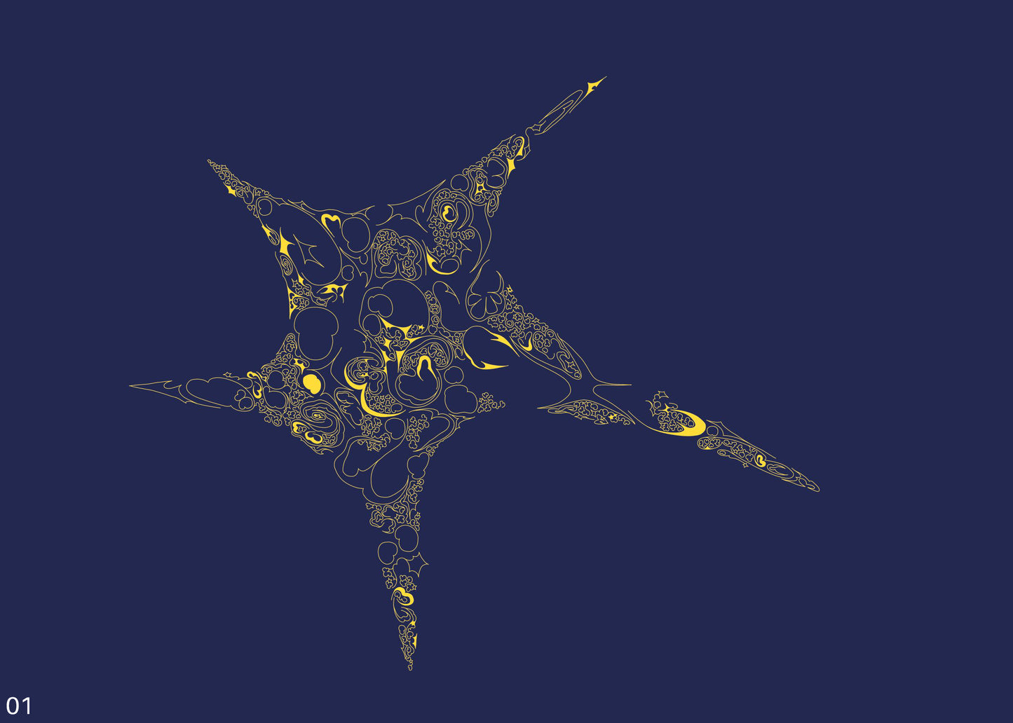 Inversion of a Star, 2024
