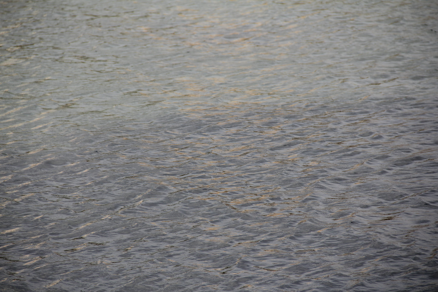 Colors of Water č. 28 — Umelecká Tlač