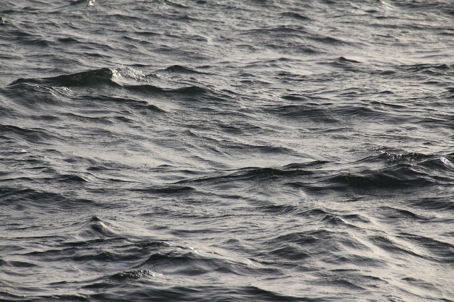 Colors of Water č. 41 — Umelecká Tlač