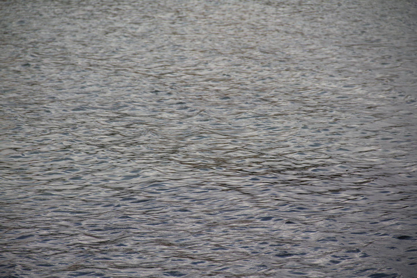 Colors of Water č. 50 — Umelecká Tlač