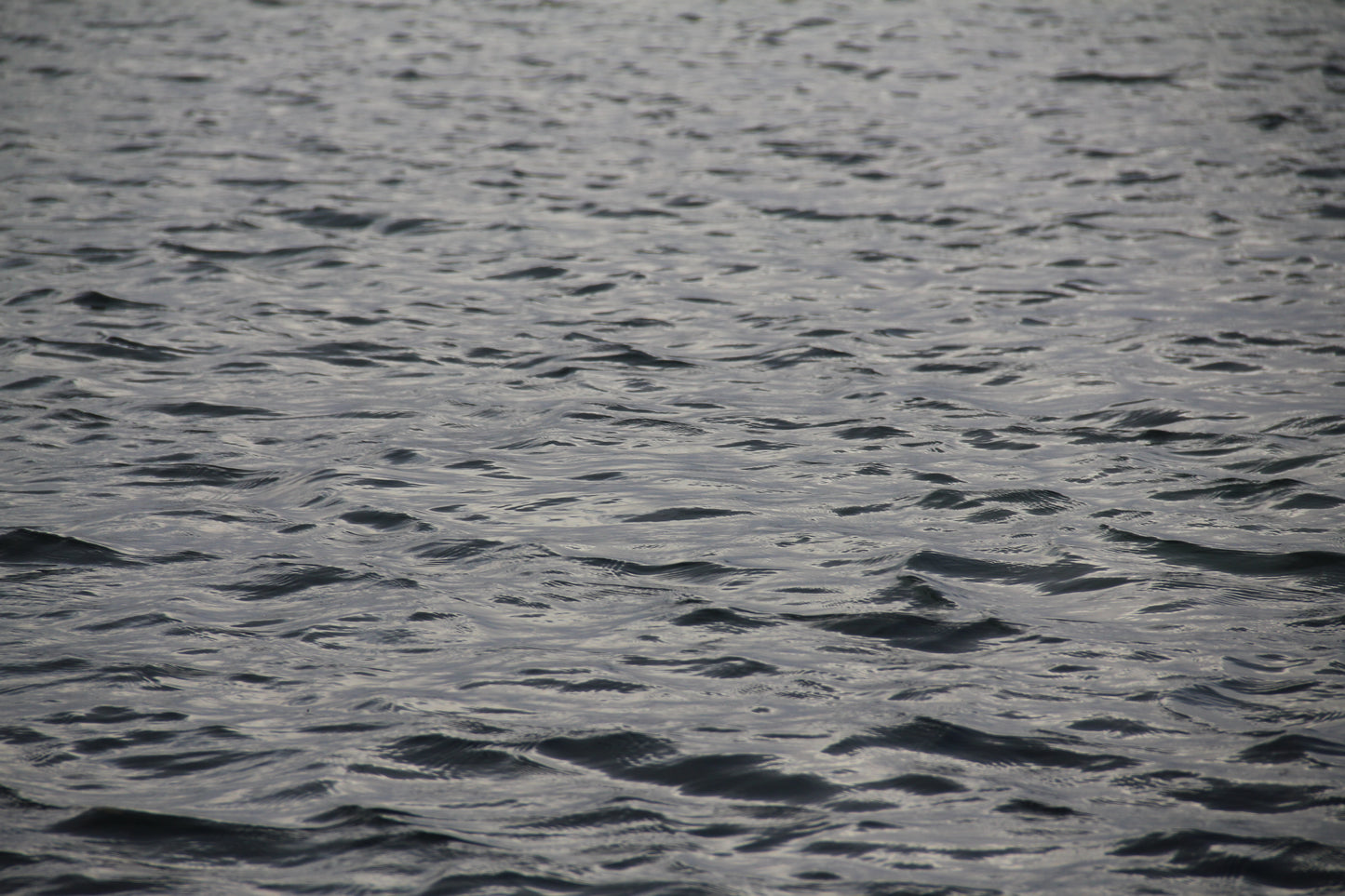 Colors of Water č. 60 — Umelecká Tlač