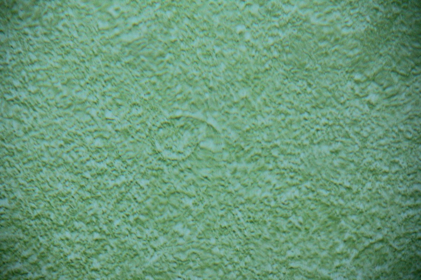 Green č. 12 — Umelecká Tlač