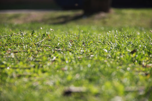 Green č. 13 — Umelecká Tlač