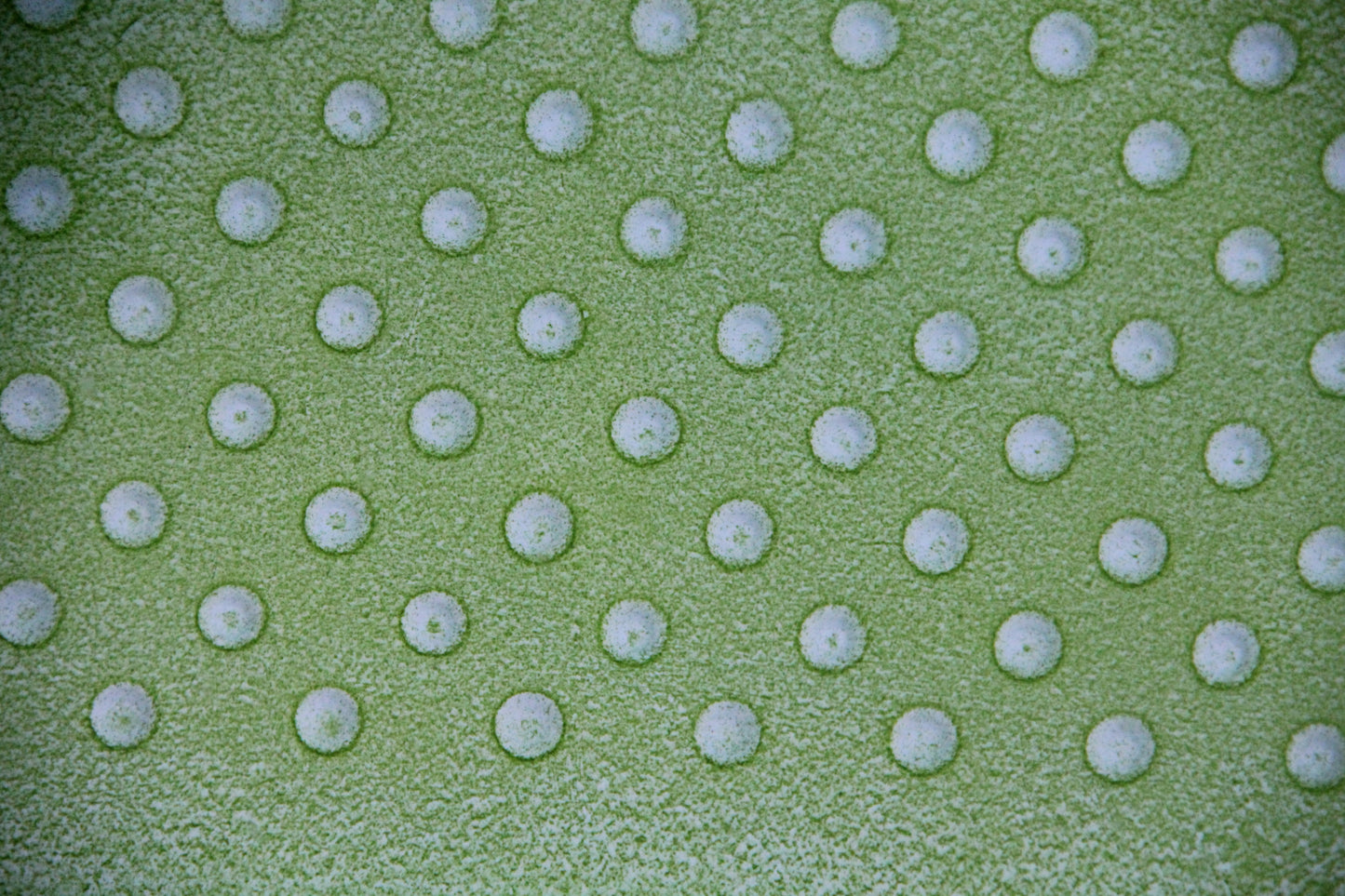 Green č. 25 — Umelecká Tlač