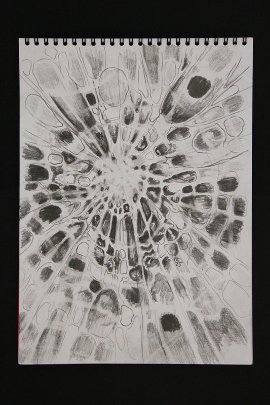 Weave - Inktober 2025