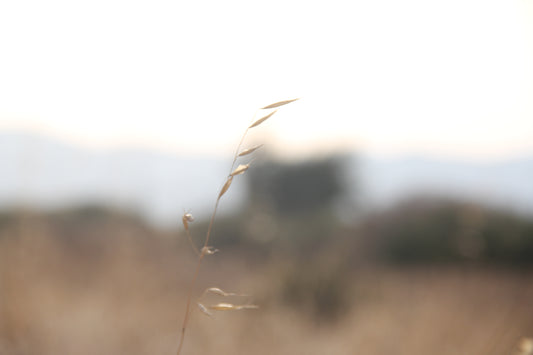 Warm č. 18 — Umelecká Tlač