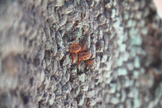 Warm č. 03 — Umelecká Tlač