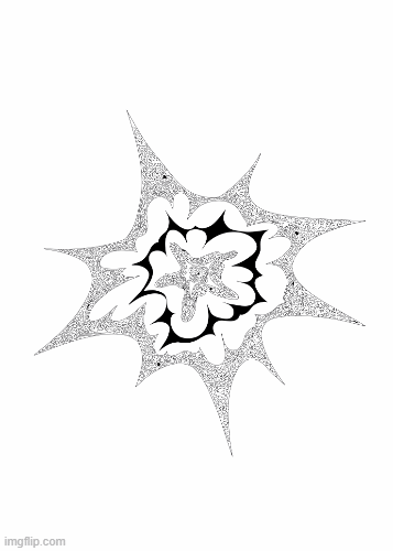 An Exploding Star, 2024
