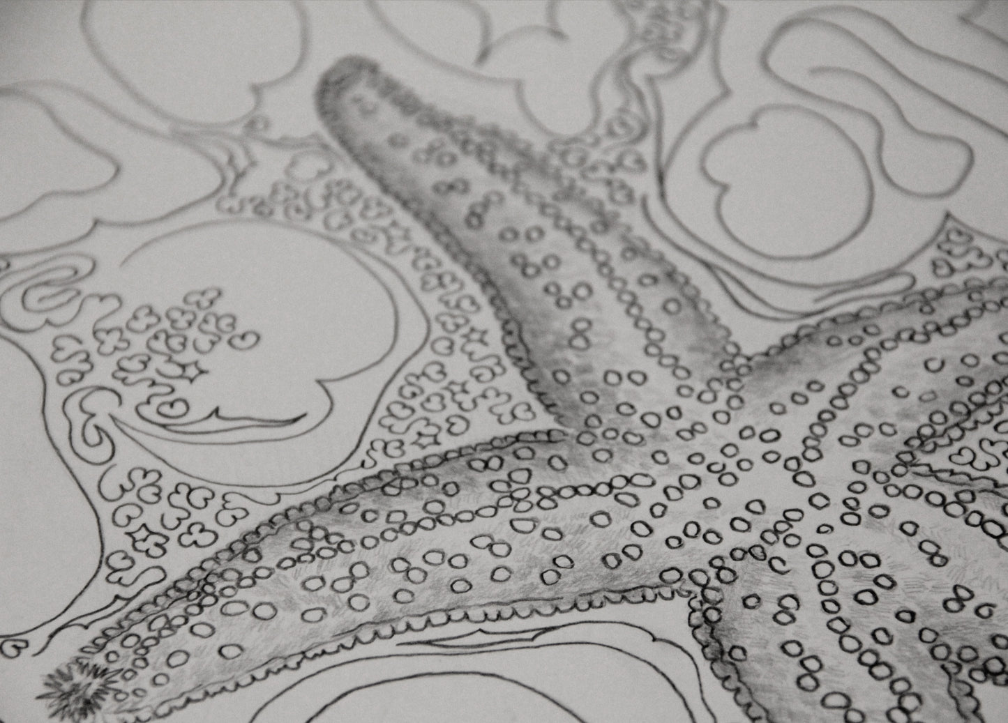 Starfish - Inktober 2025