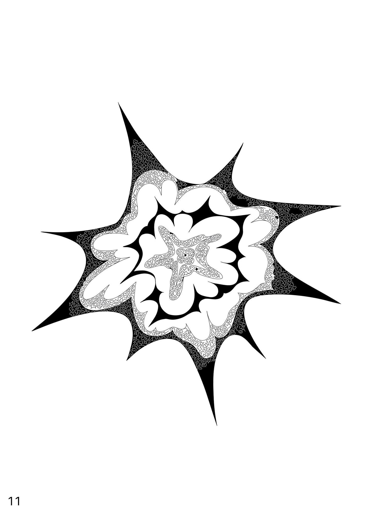 An Exploding Star, 2024