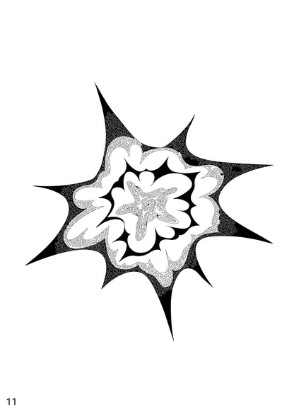 An Exploding Star, 2024