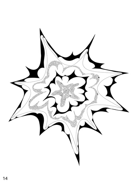 An Exploding Star, 2024