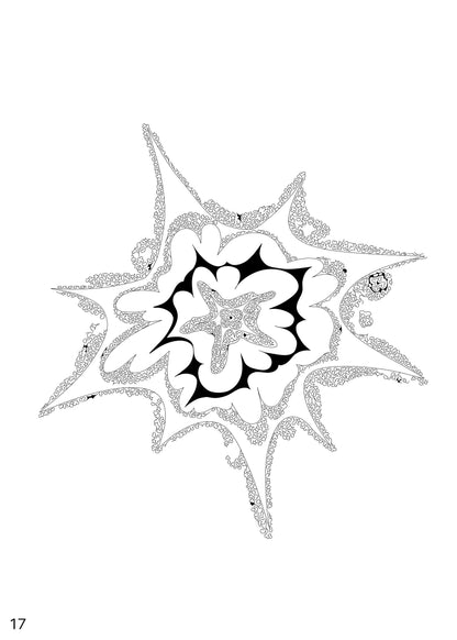 An Exploding Star, 2024