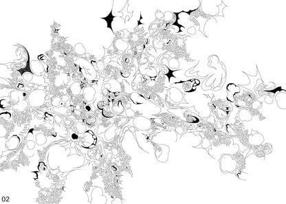 Inversion of a Star, 2024