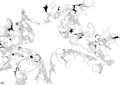 Inversion of a Star, 2024