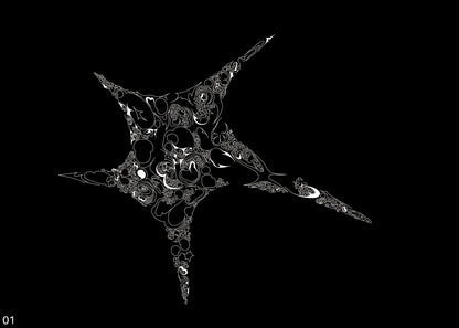 Inversion of a Star, 2024