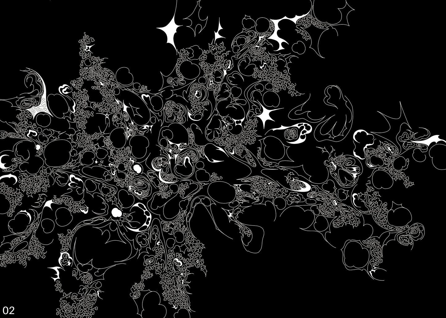 Inversion of a Star, 2024