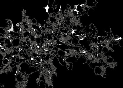 Inversion of a Star, 2024