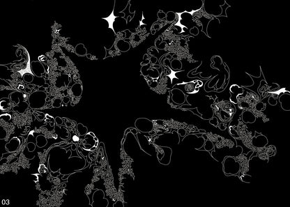 Inversion of a Star, 2024