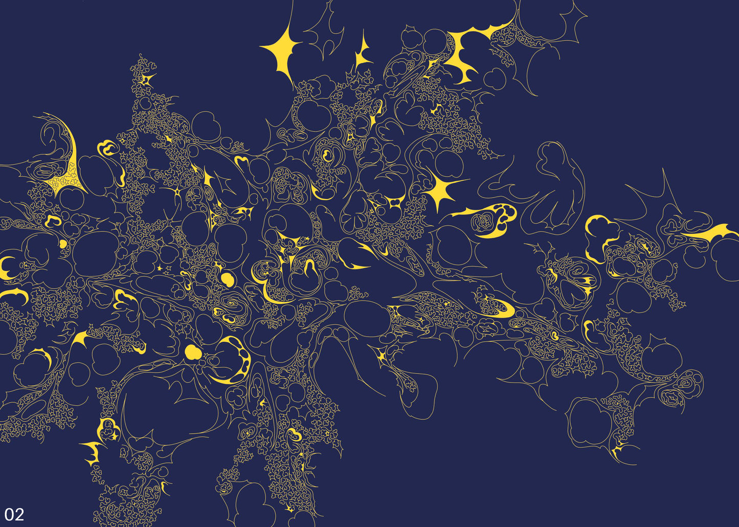 Inversion of a Star, 2024