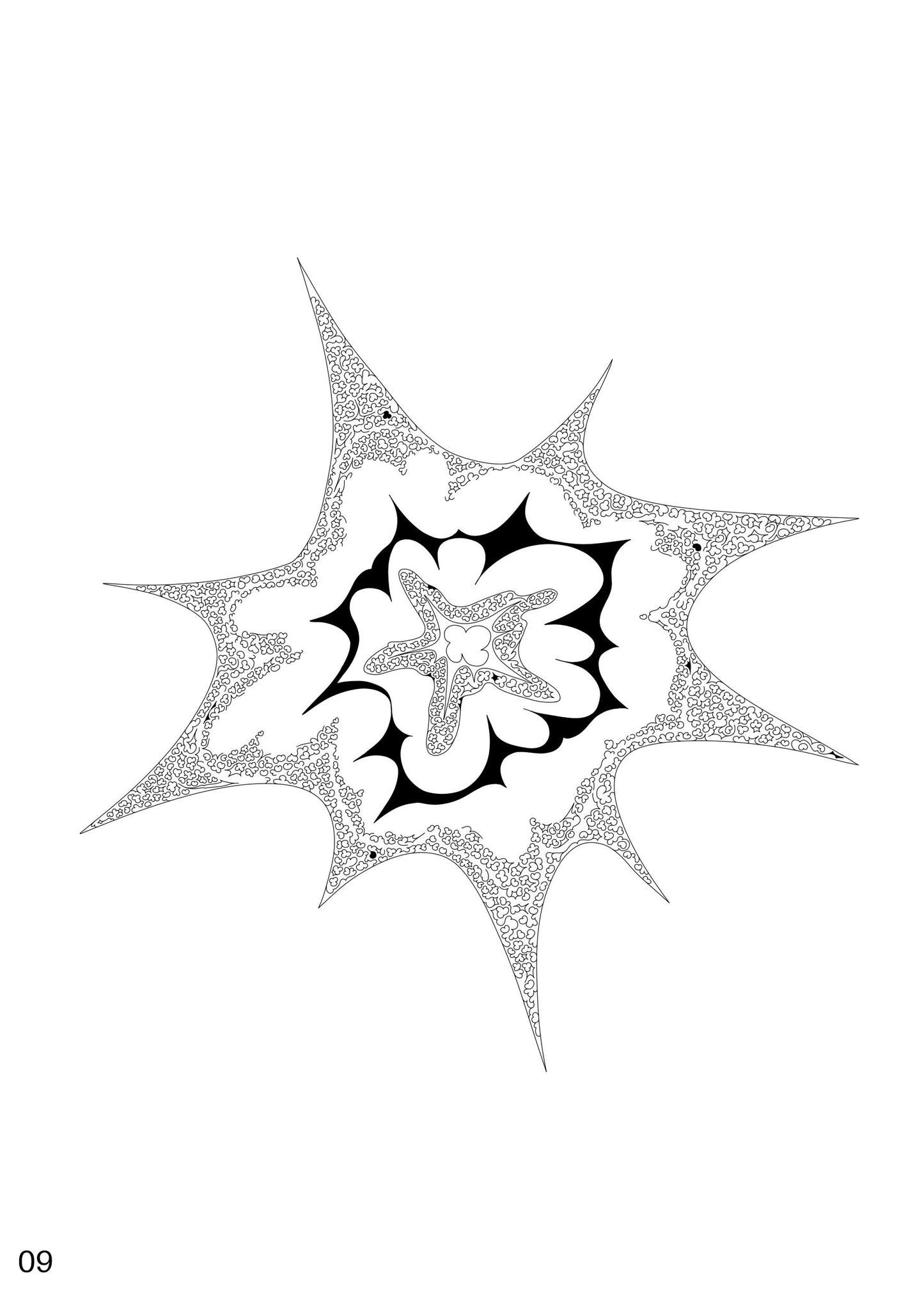 An Exploding Star, 2024