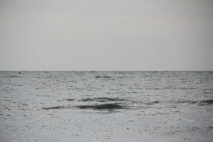 Colors of Water č. 81 — Umelecká Tlač