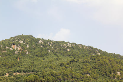 Green č. 34 — Umelecká Tlač