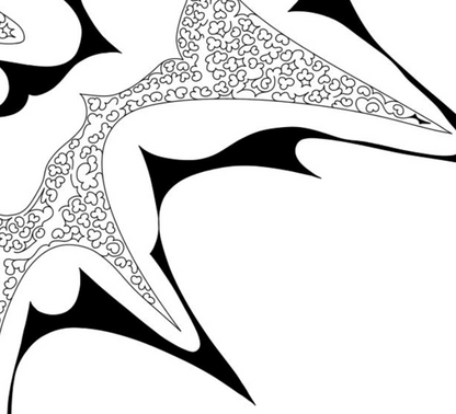An Exploding Star, 2024