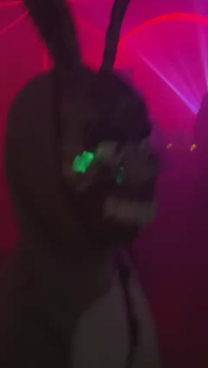 Frank the Bunny (Donnie Darko) kostým, 2025