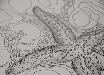 Starfish - Inktober 2025